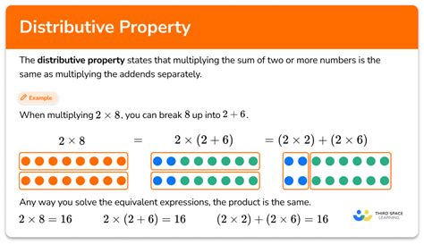 who invented the distributive property